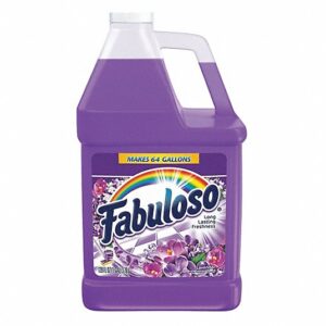 hotel-fabuloso-cleaner